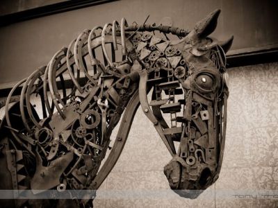 Mechanical Horse