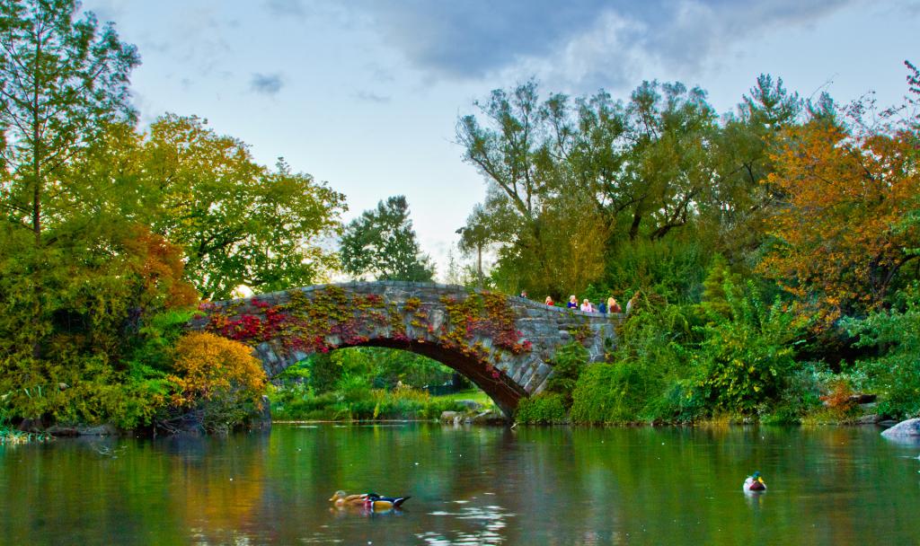 Gapstow Bridge And The Pond New York