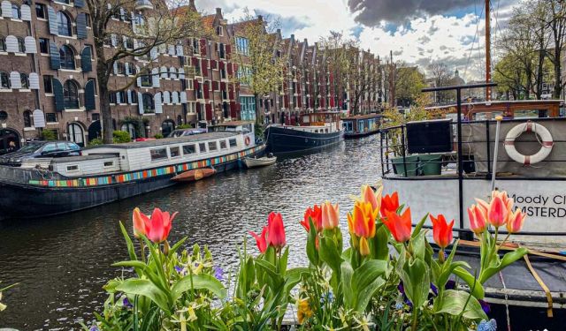 Eating Europe: The Iconic Dishes in Jordaan Amsterdam