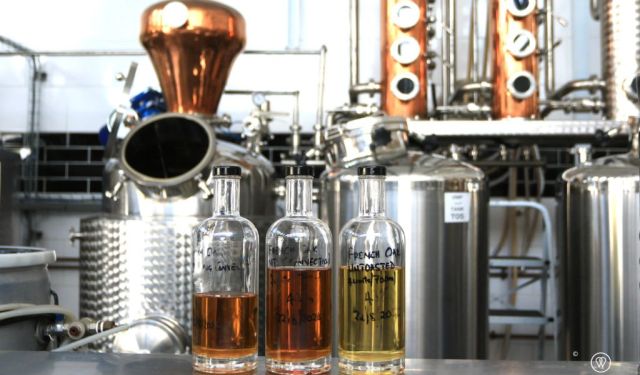 Exploring the World of Gin in Cape Town, South Africa