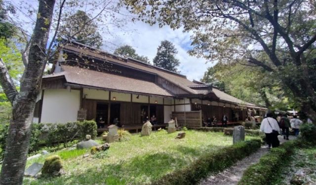 Temples and Cherry Blossoms in Yoshino (Nara)