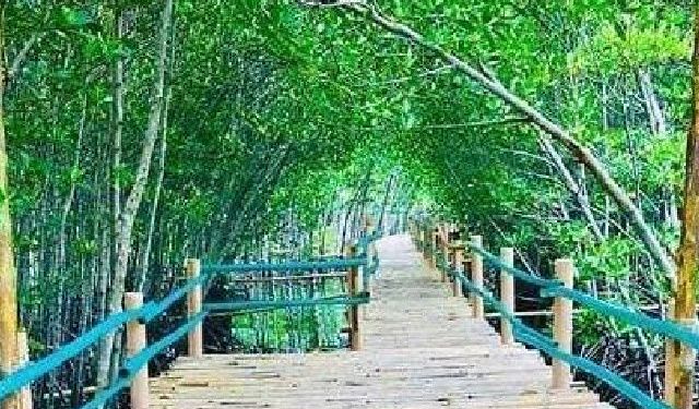 20 Top Things to Do in Bantayan Island