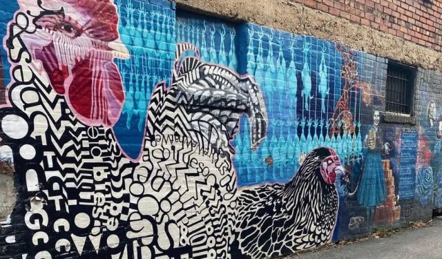 An Asheville NC Fall: 8 Reasons Why You Should Visit