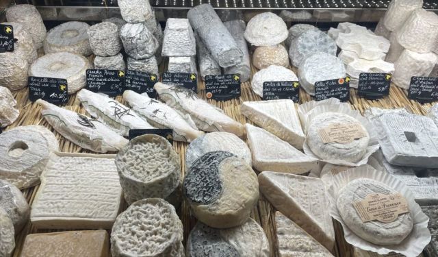 Bountiful Bordeaux, Eating My Way Through the City