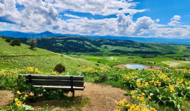 Bozeman Itinerary: 5 Amazing Days in Montana