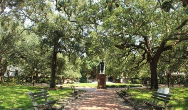 Get Your Free Guide to Touring Charleston’s French Quarter / Charleston