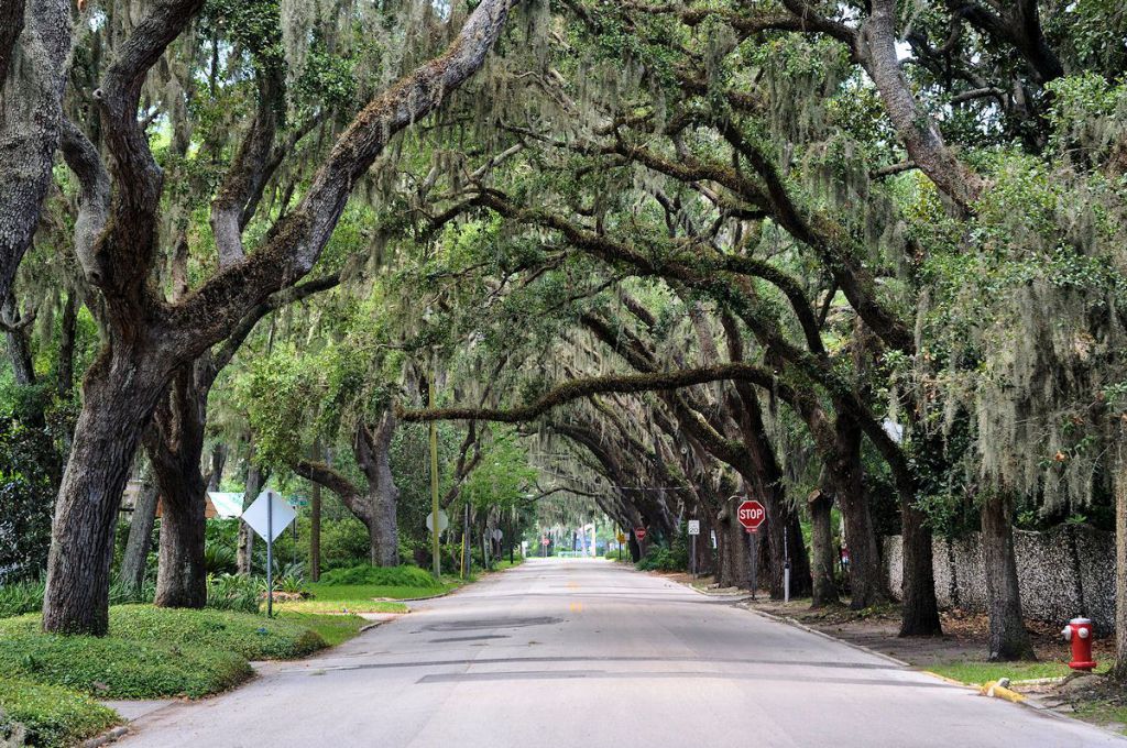 St. Augustine Explore History, St. Augustine, Florida (B)