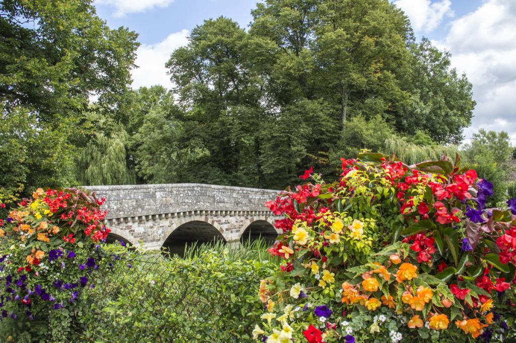 Ringwood - Gateway to the New Forest, Ringwood, England