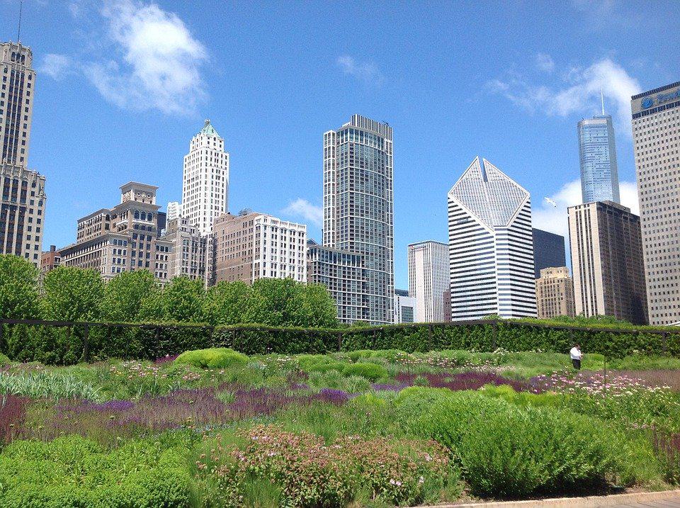 8 Outdoor Gardens To Visit In Chicago, Chicago, Illinois (B)