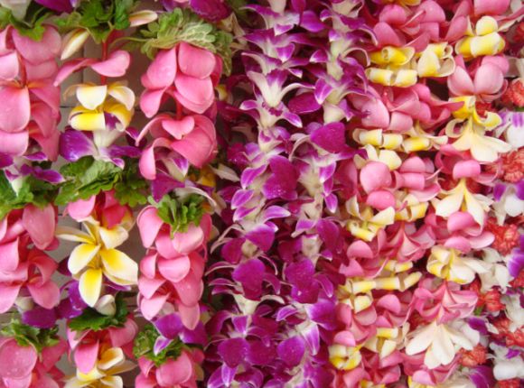16 Hawaiian Products To Bring Home from Honolulu