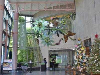 Cockrell Butterfly Center