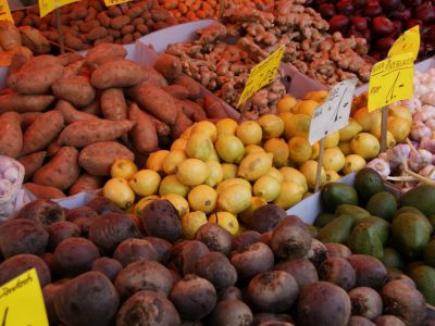 Erzeugermarkt