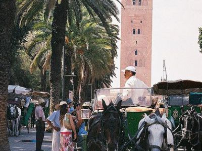 Caleche Trips in Jemaa el Fna