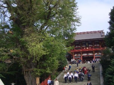 Tsurugaoka Hachimangu Shrine