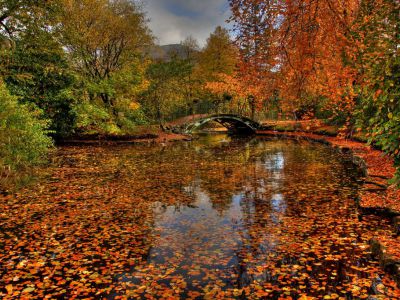 Nygårdsparken, Bergen