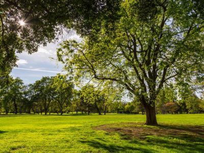 William Land Park, Sacramento