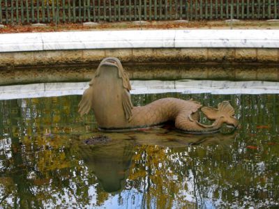 Northern Quincunx and Southern Quincunx