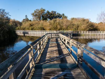 Neary Lagoon Santa Cruz