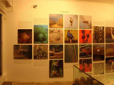 Sala de Cultura "Sa Nostra" (''Sa Nostra'' Cultural Hall)