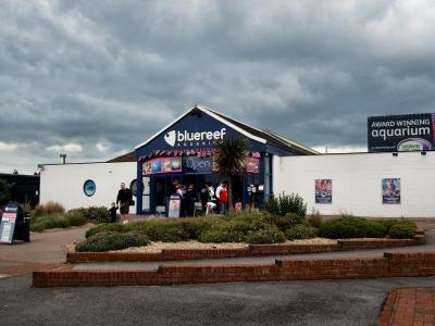 Blue Reef Aquarium, Portsmouth