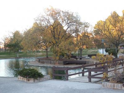 Duck Pond at UNM