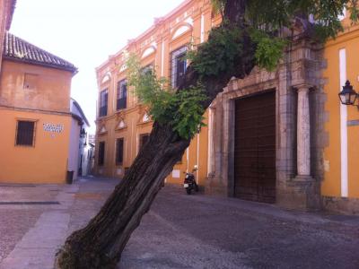 Plaza del Cardenal Salazar (Cardenal Salazar Square)