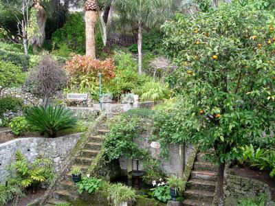 Gibraltar Botanic Gardens