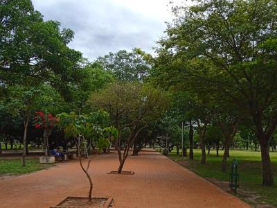 Parque Urbano Central Central Urban Park Santa Cruz