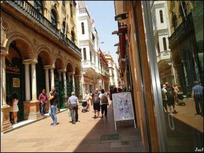 Calle Sierpes (Sierpes Street)