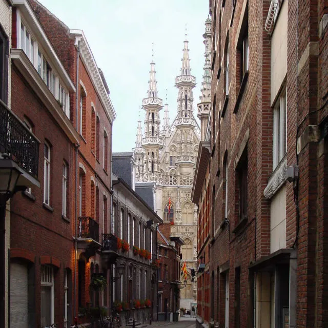 Custom Walk in Leuven, Belgium
