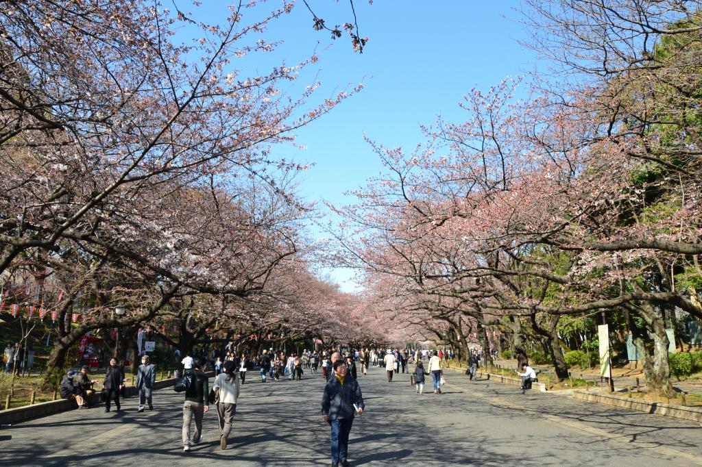 Ueno Park, Tokyo