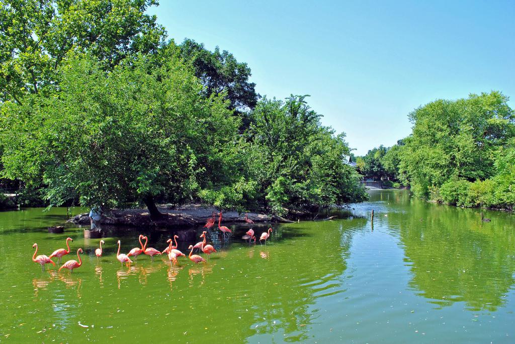 st-louis-zoo-saint-louis