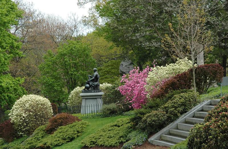 are dogs allowed in mt auburn cemetery