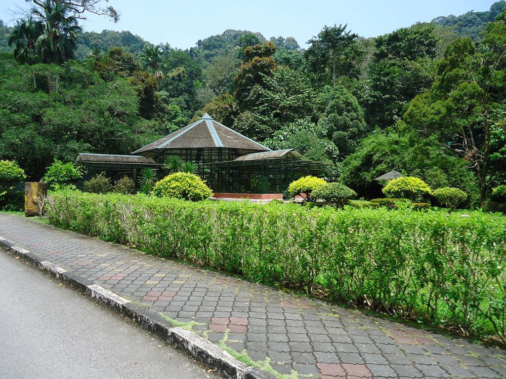 Botanical Gardens, George Town