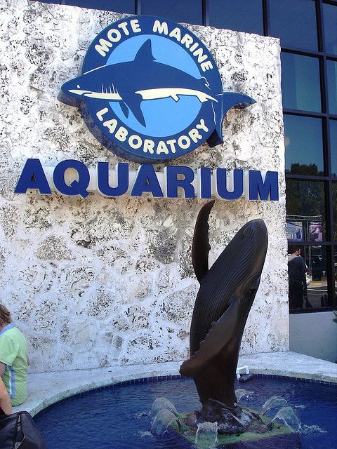 Mote Marine Laboratory And Aquarium, Sarasota