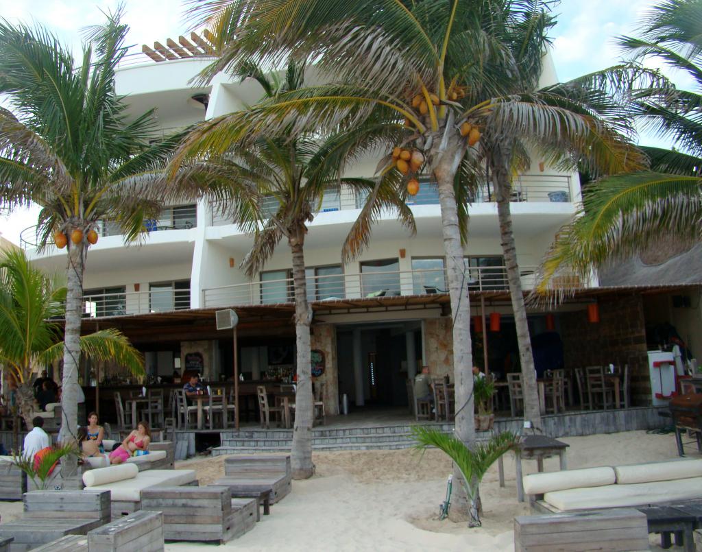 zenzi playa del carmen