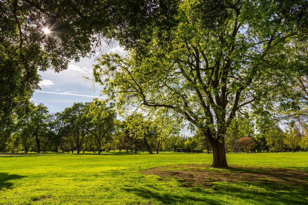 William Land Park, Sacramento