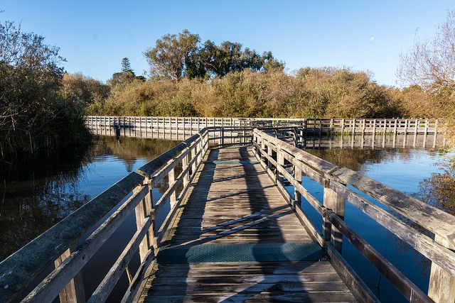 Neary Lagoon Santa Cruz