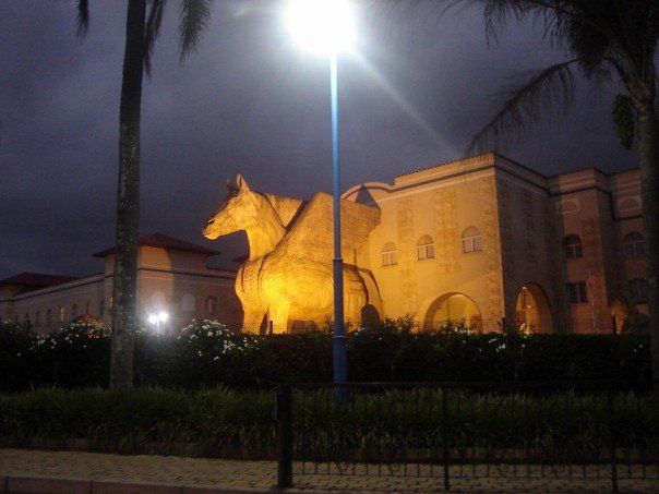Suncoast casino in durban south africa