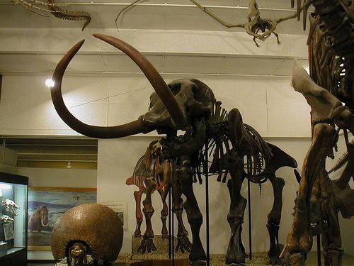 Geology Museum, Madison