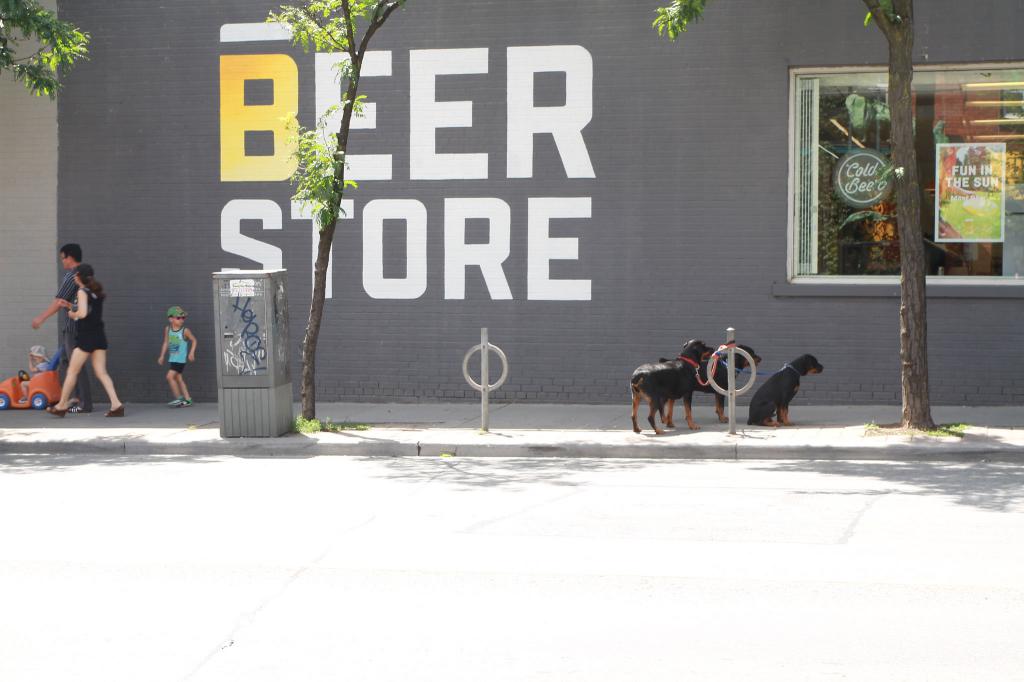 The Beer Store Toronto   57732 