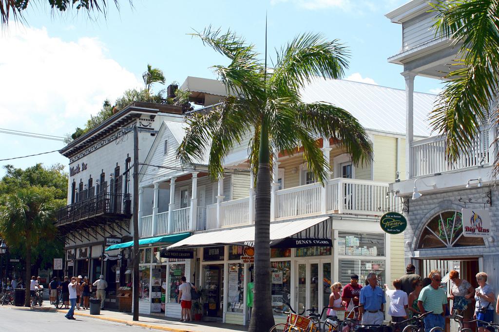 people-walk-down-the-street-in-front-of-shops-and-palm-trees-on-a