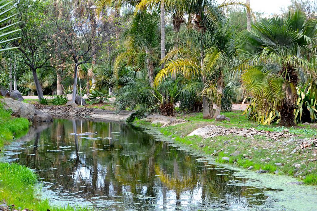 Palmetum Botanical Garden Santa Cruz de Tenerife