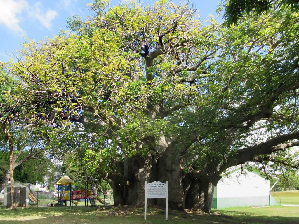 Queen's Park, Bridgetown